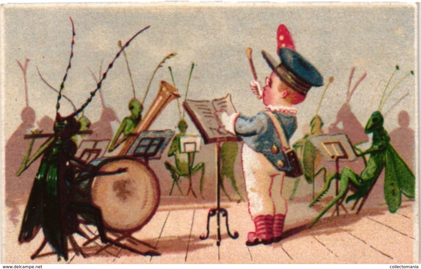 11 Trade Cards & 1 PostCard Music c1880 Dirigent Chef d' Orchestre Conductor c1890 Dressed animals Litho anthropomorphic