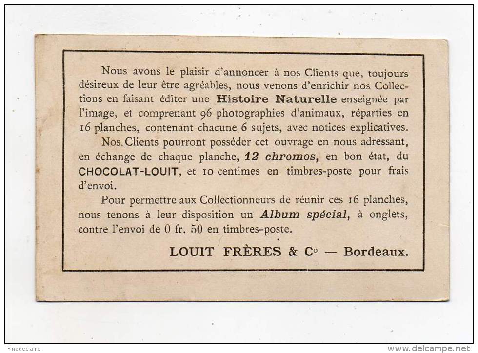 Chromo - Chocolat Louit - Cherchez Le Mari - Louit