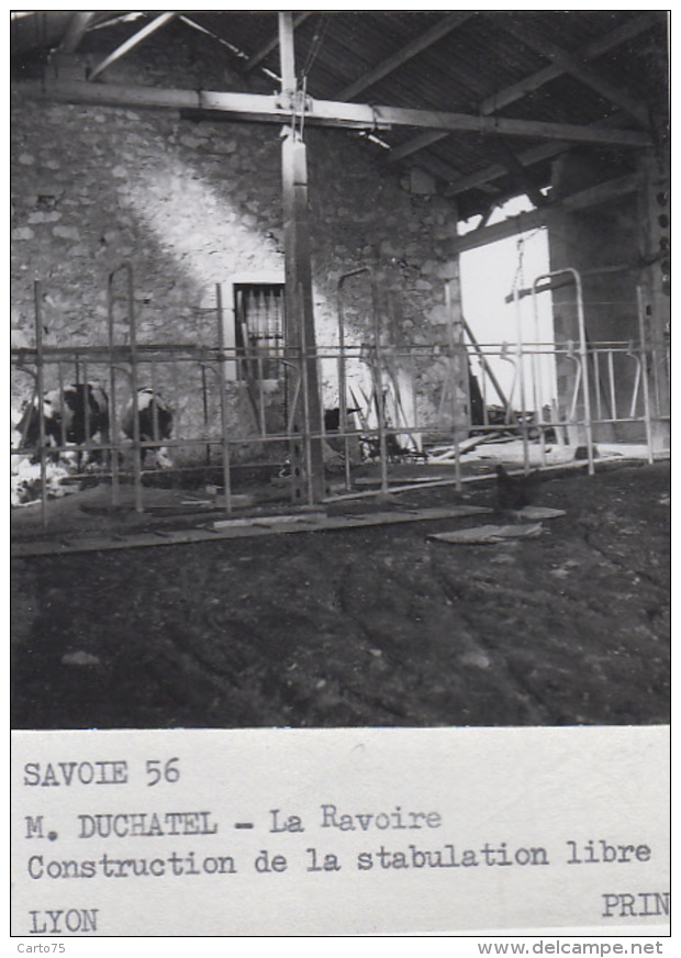 Agriculture - Agronomie - La Ravoire Savoie - Exploitation M. Duchâtel Construction Bâtiments - Lot De 9 Photographies - Cultures