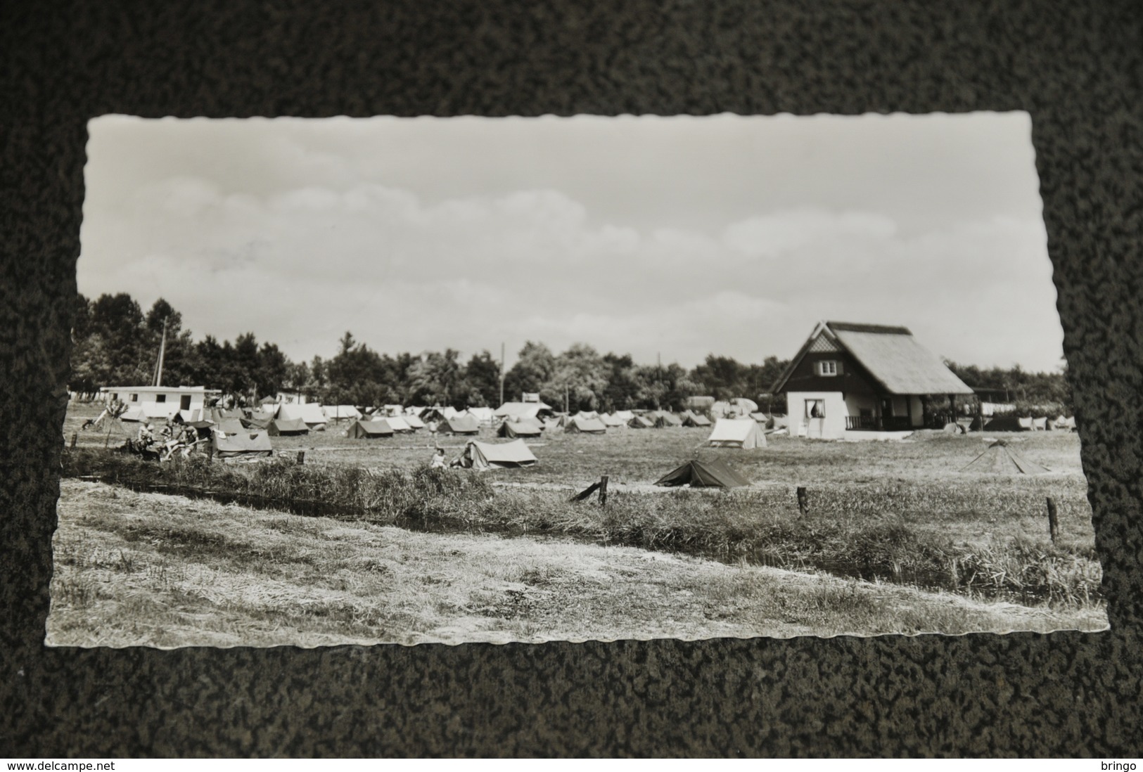 1399- Dümmersee, Zeltstadt Lembruch - Lembruch