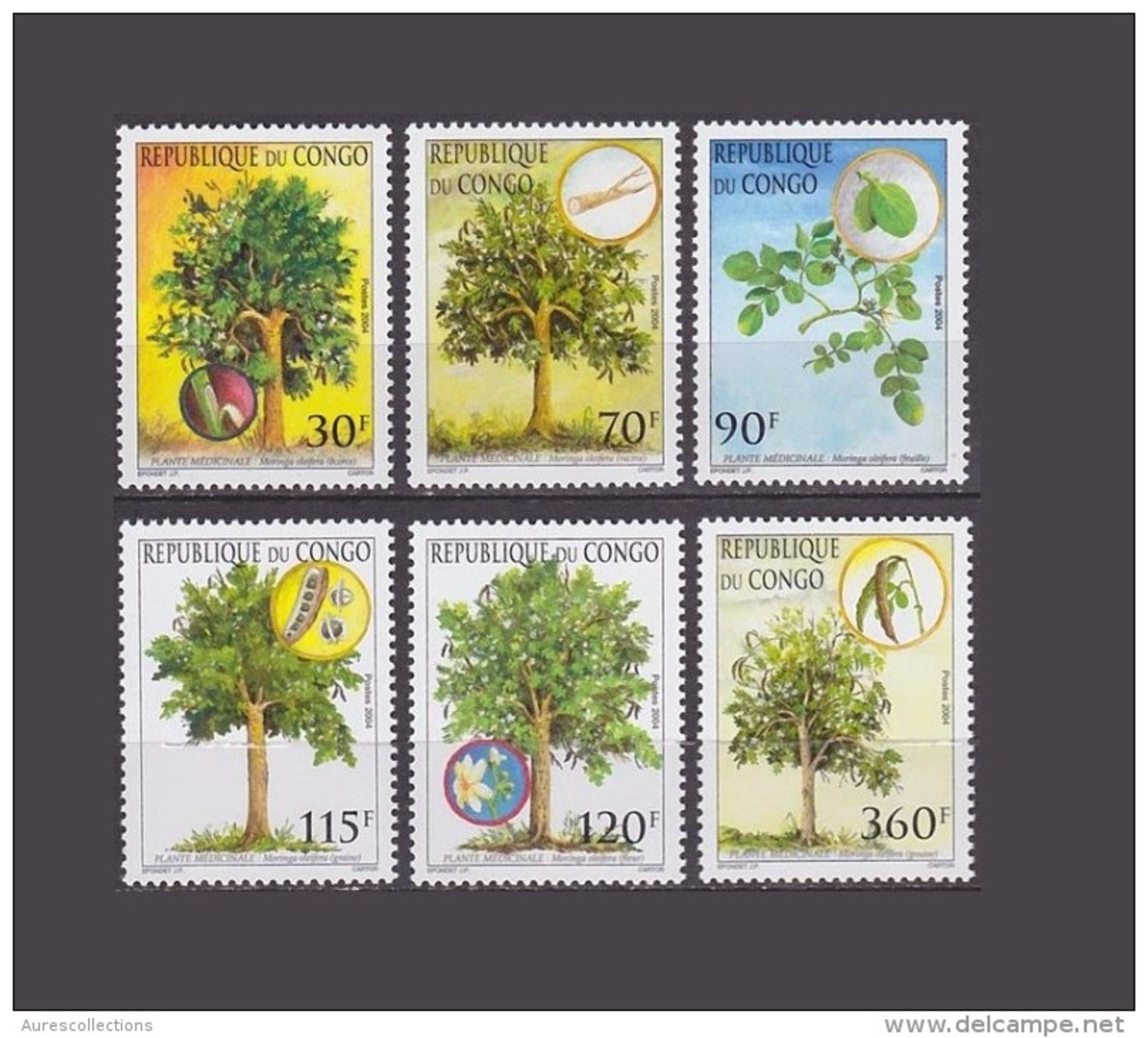 CONGO 2005 FULL SET TREES ARBRES TREE ARBRE  MNH ** VERY RARE - Ongebruikt