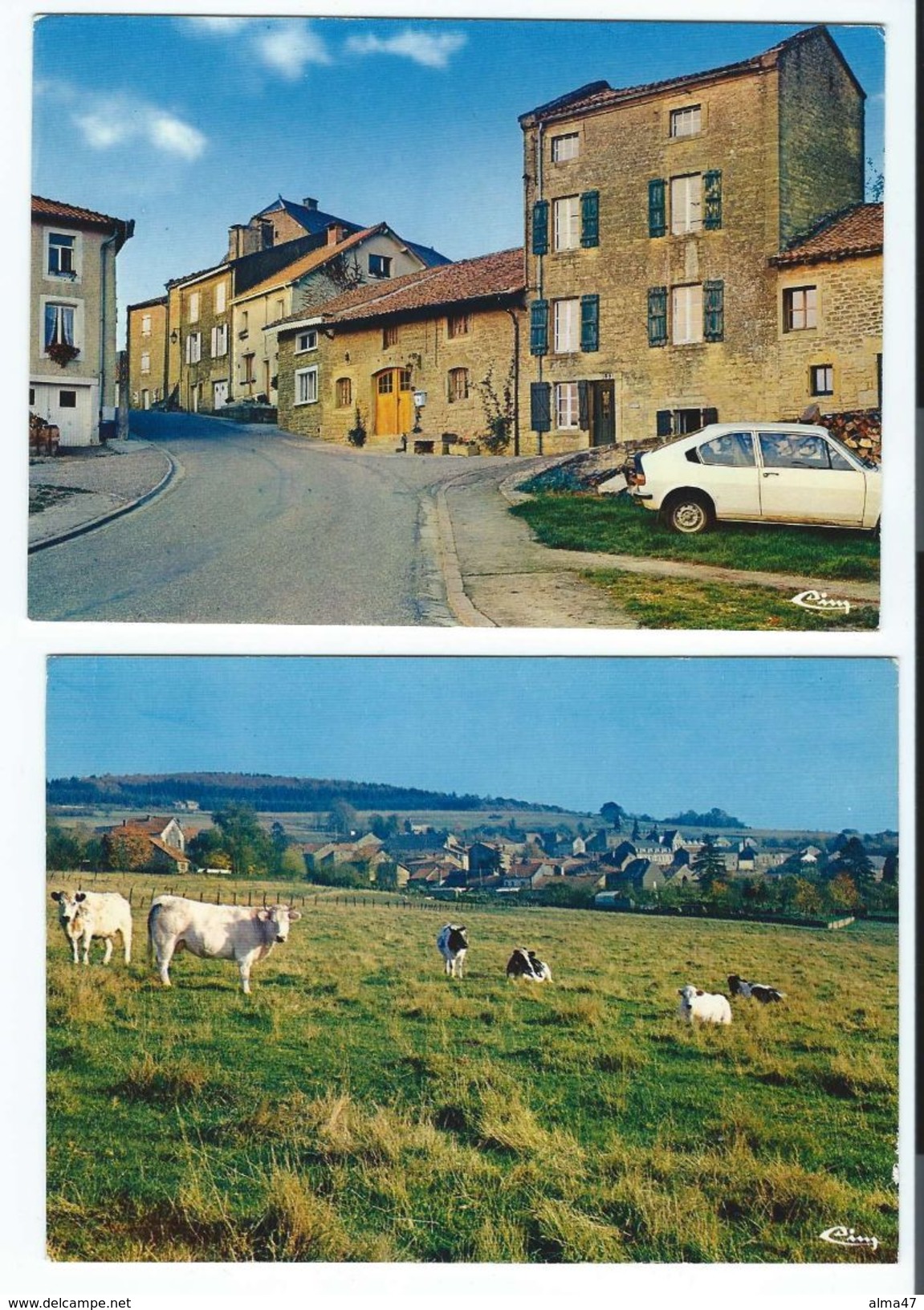 Torgny - LOT 4 CP - Rouvroy