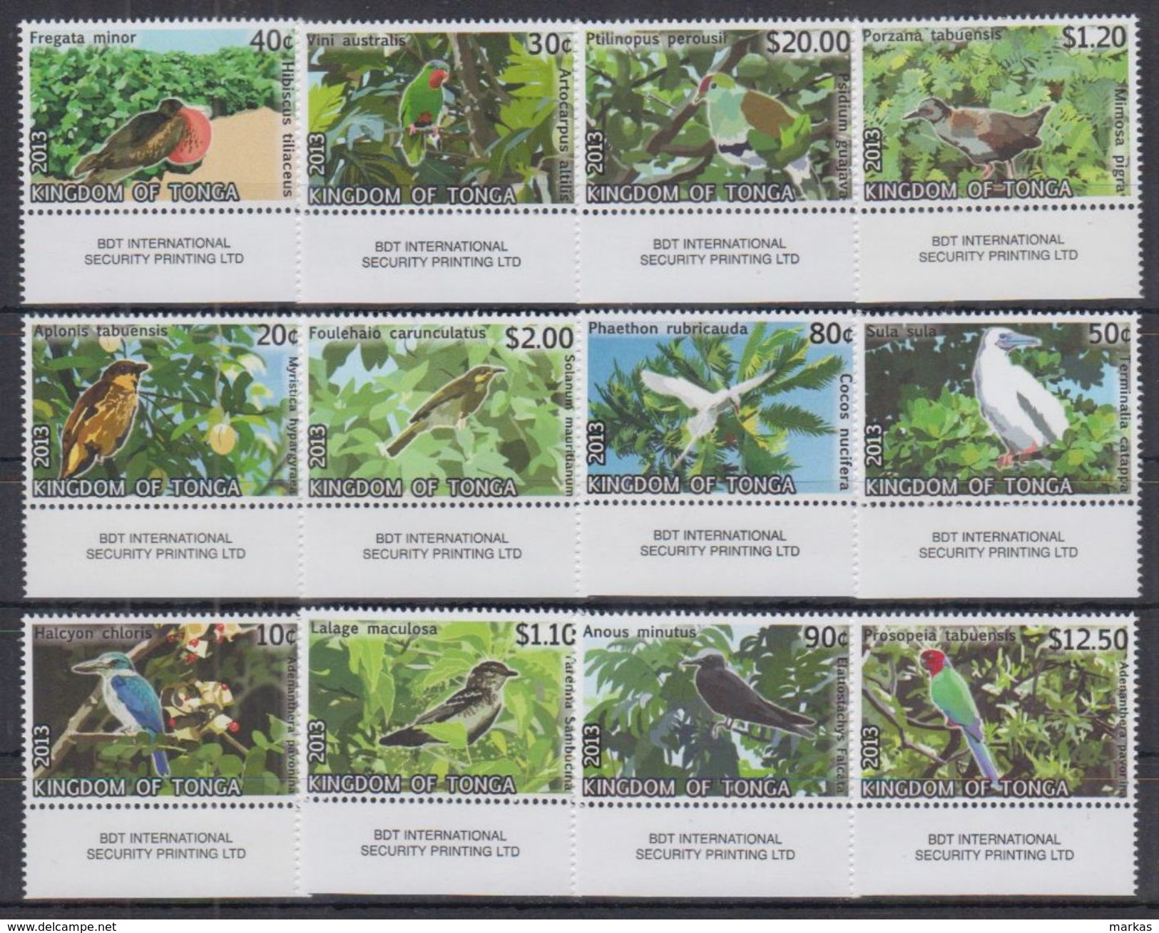 I52. Tonga - MNH - Animals - Birds - Andere & Zonder Classificatie