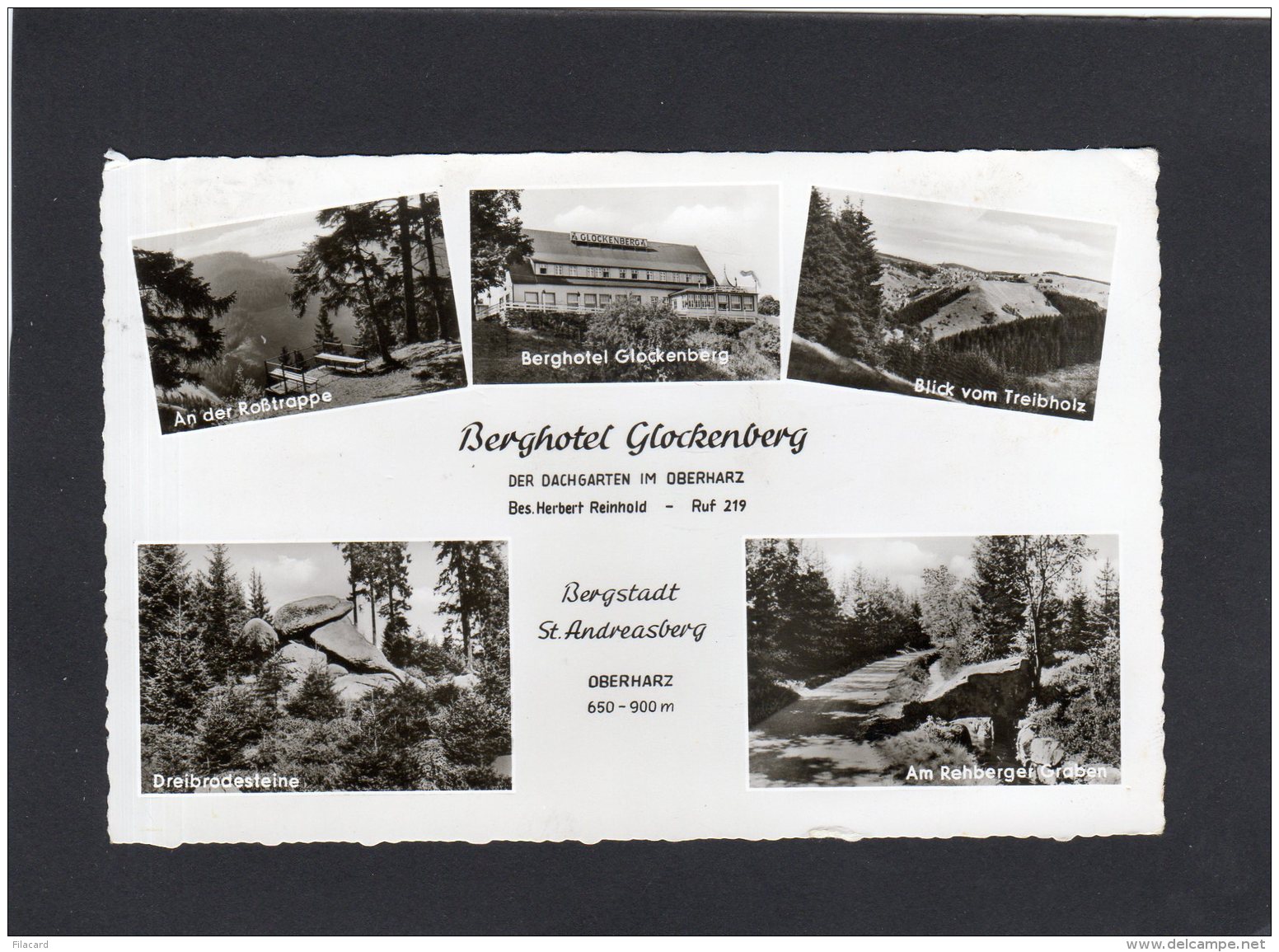 72495     Germania,   Berghotel  Glockenberg,  Der  Dachgarten Im  Oberharz, Bergstadt  St.  Andreasberg,  VG  1960 - Oberharz