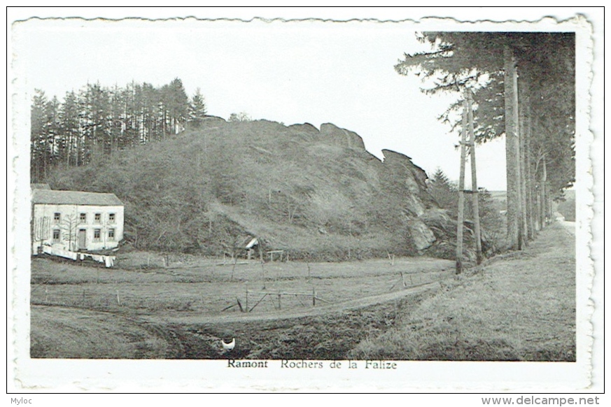 Ramont. Rochers De La Falize. - Tenneville