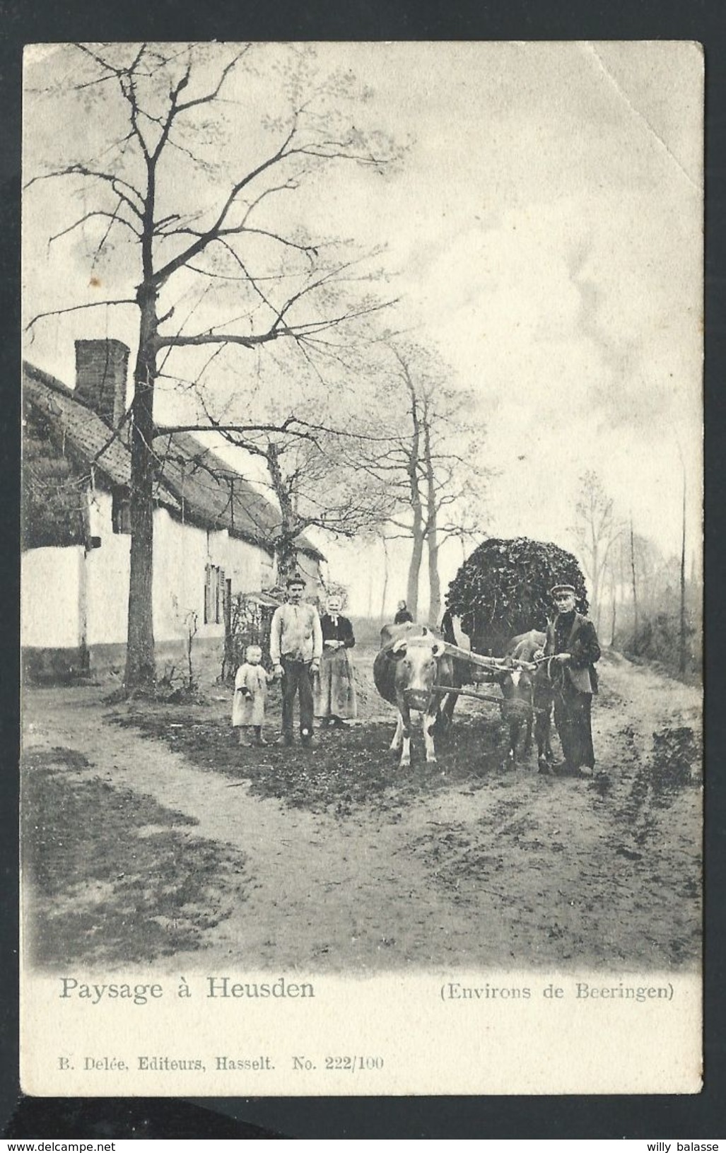 CPA - Environs De BEERINGEN - Paysage à HEUSDEN - Attelage  // - Heusden-Zolder