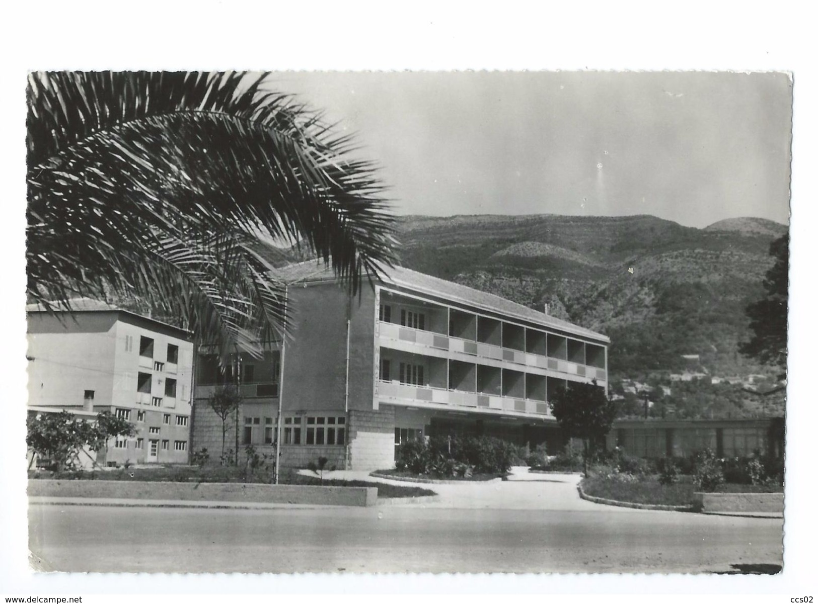 Tivat Hotel Mimoza 1964 - Montenegro