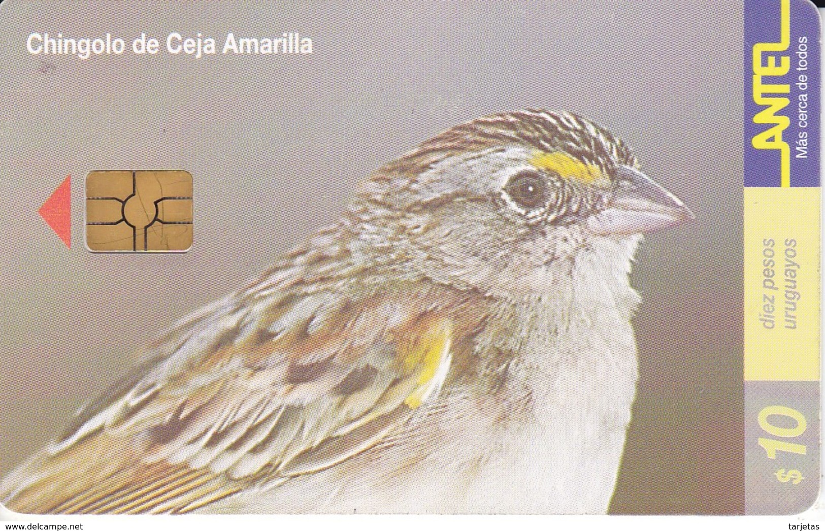 Nº 130 TARJETA PAJARO CHINGOLO CEJA AMARILLA DE 10$ (BIRD) (CHIP G-4 NEGRO) - Uruguay