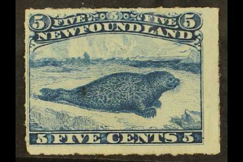 5790 CANADA - NEWFOUNDLAND - Other & Unclassified