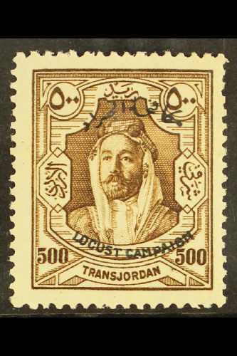 8219 TRANSJORDAN - Jordan