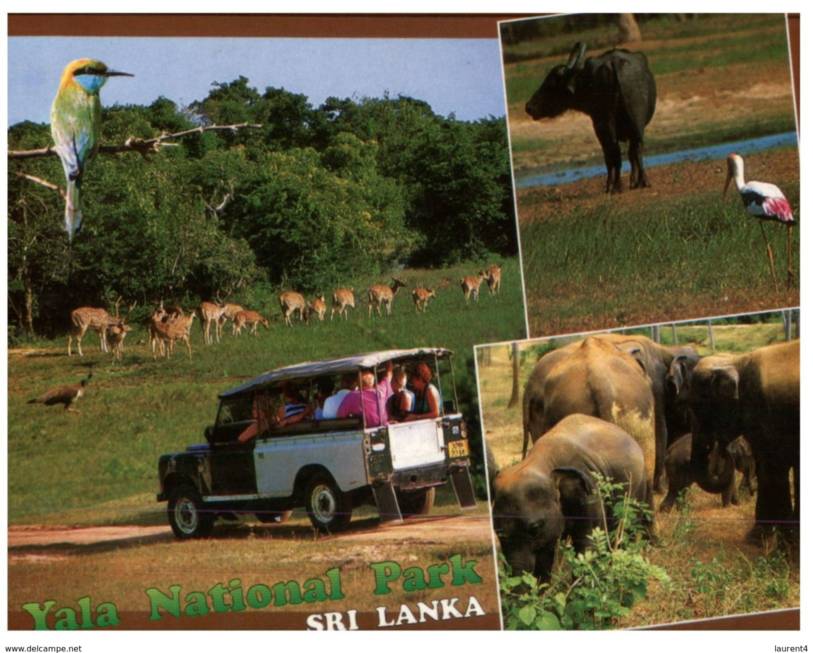 (PF 200) Sri Lanka - Yala National Park - Sri Lanka (Ceylon)