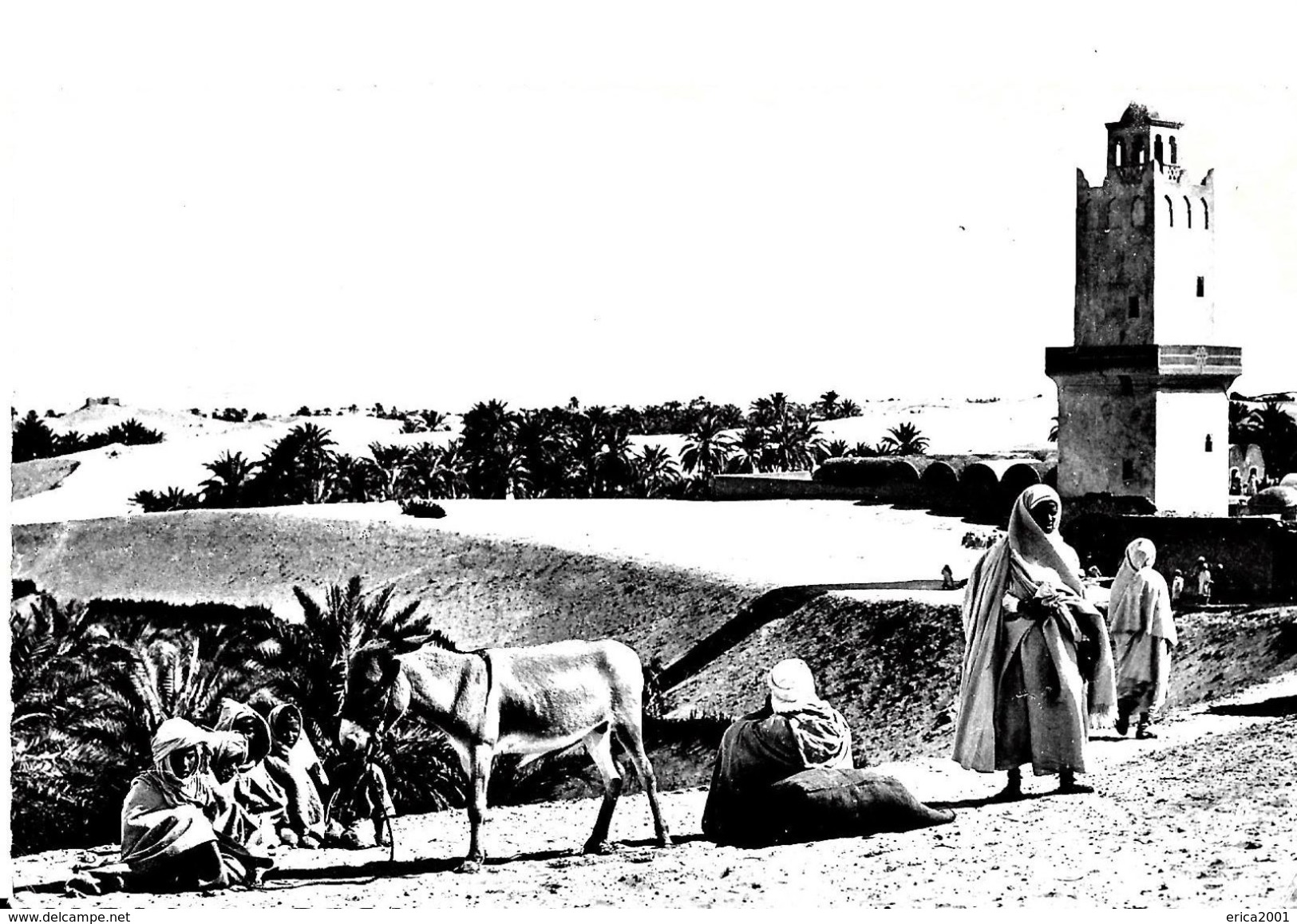 El-Oued. La Mosquée Et Les Jardins Du Souf. - El-Oued