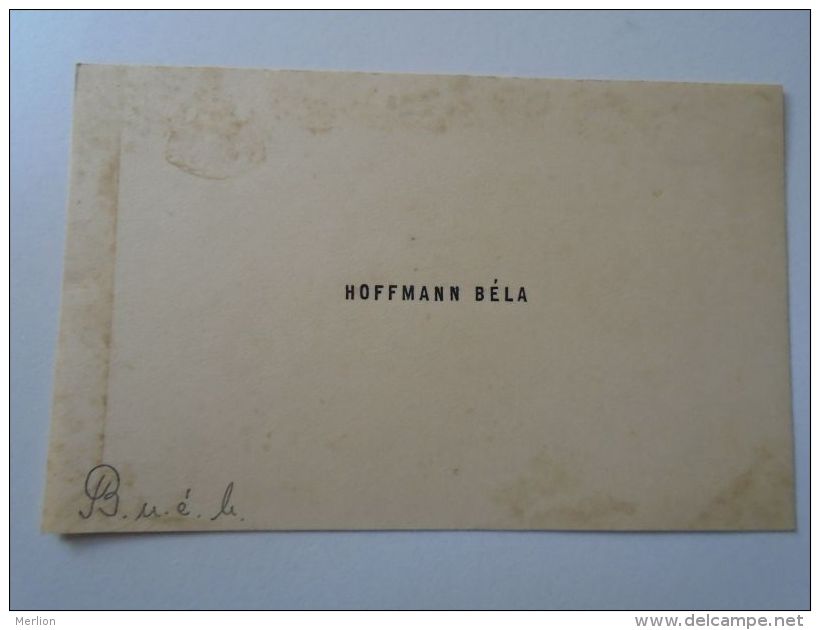 D153125 Visit Card  -- HOFMANN Béla  - Hongrie Budapest Ca 1920 - Visiting Cards