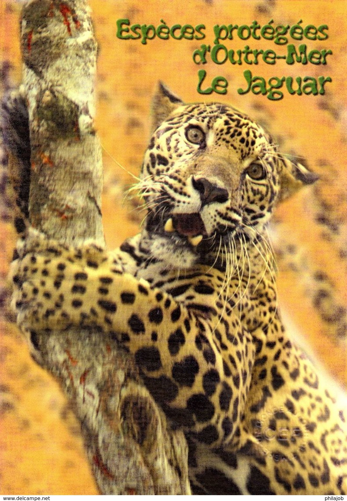 Encart 1er Jour De 2007 " ESPECES PROTEGEES : LE JAGUAR DE GUYANE " N° YT 4035. Voir Les 2 Scans. - 2000-2009