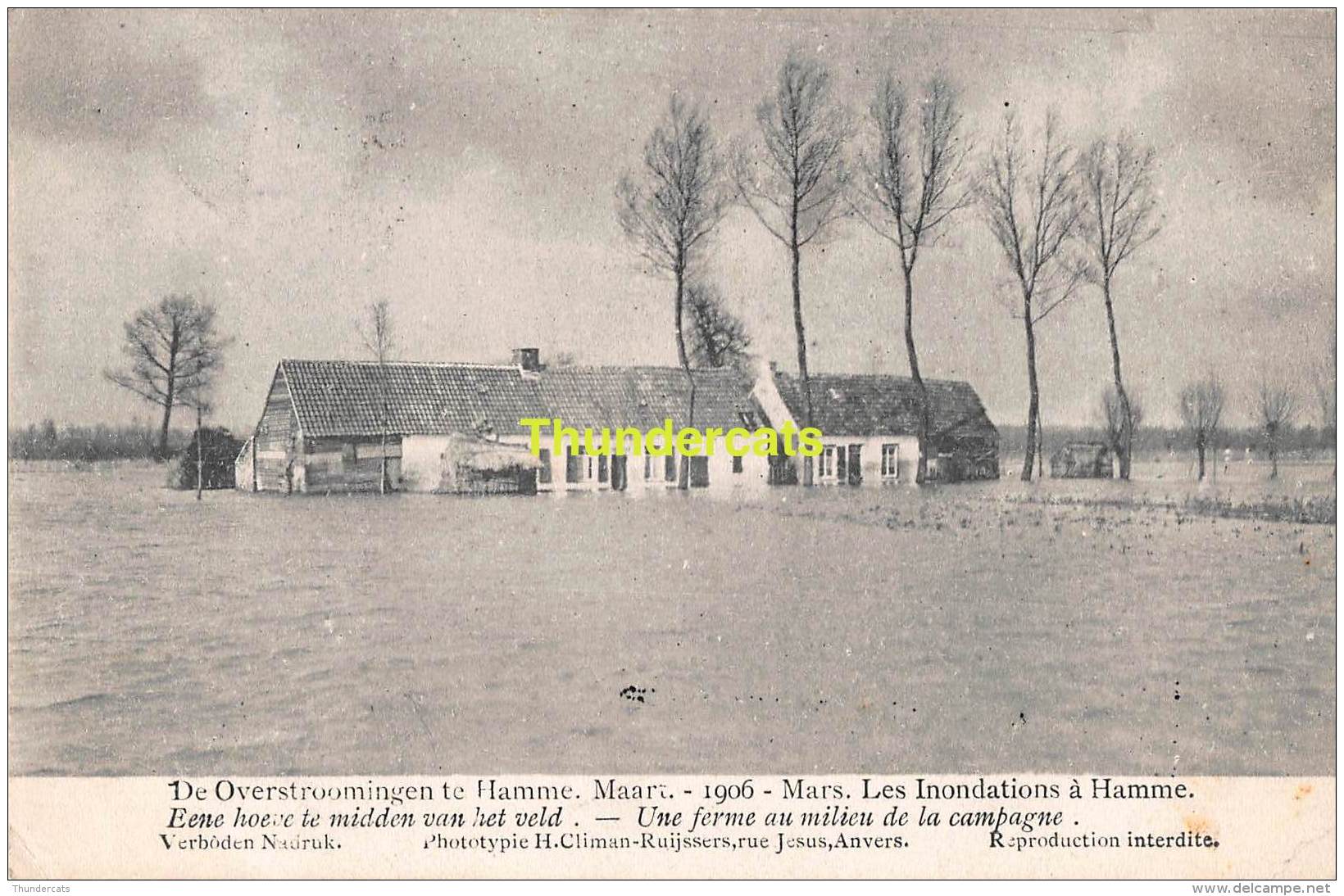 CPA DE OVERSTROOMINGEN TE HAMME MAART 1906 LES INONDATIONS A HAMME EENE HOEVE TE MIDDEN VAN HET VELD - Hamme