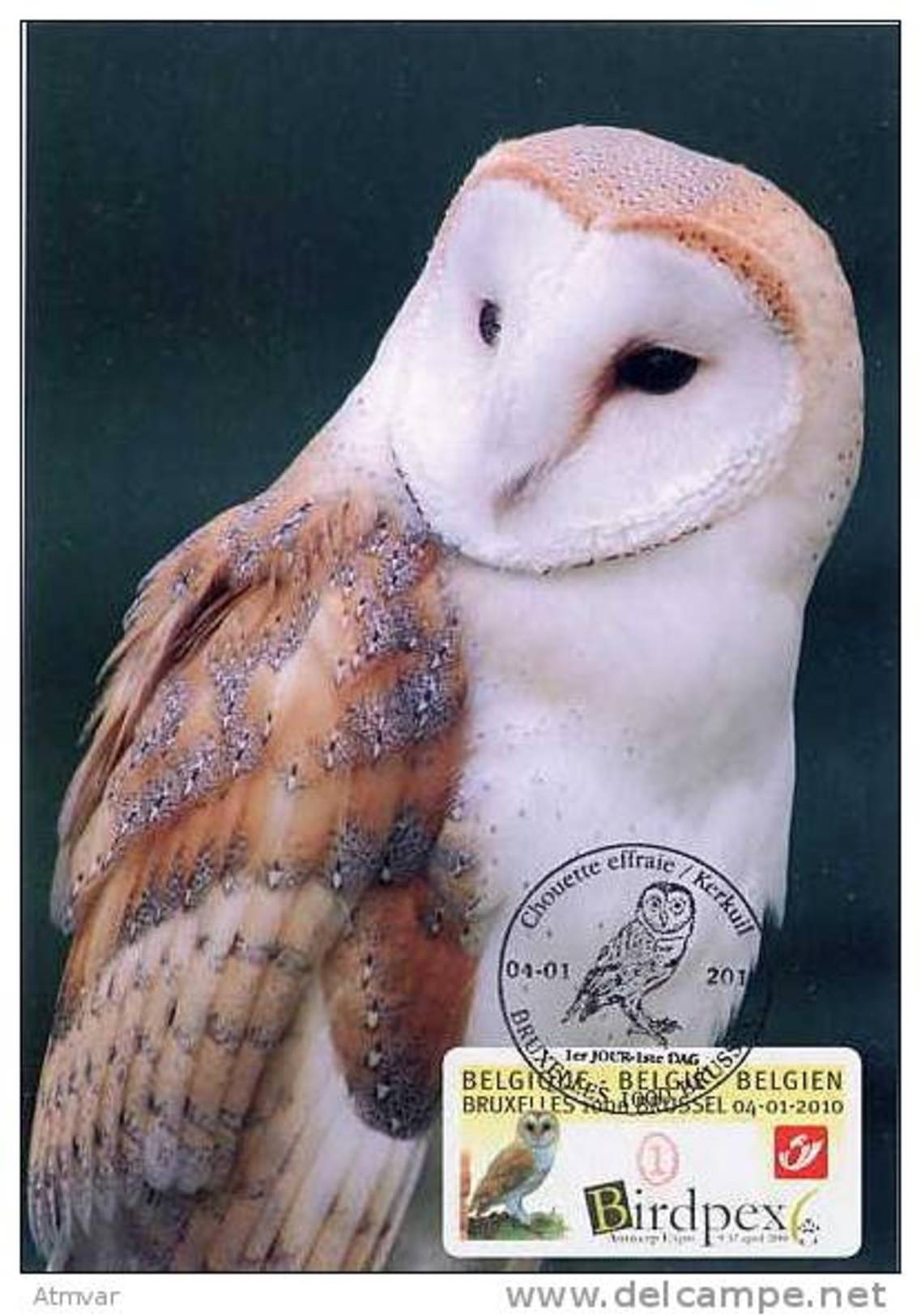 BELGIQUE / BELGIUM (2010) - Carte Maximum Card - ATM Amiel 2010 - BIRDPEX - Chouette Effraie / Barn Owl / Tyto Alba - 2001-2010