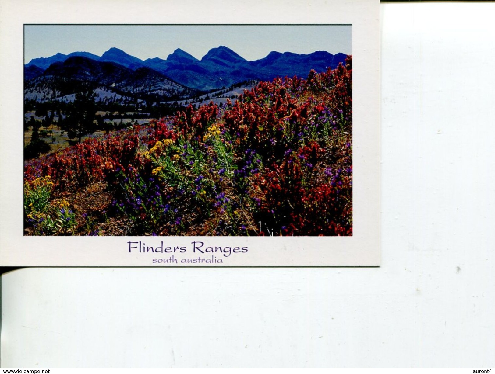 (571) Australia - SA - Flinders Ranges - Flinders Ranges