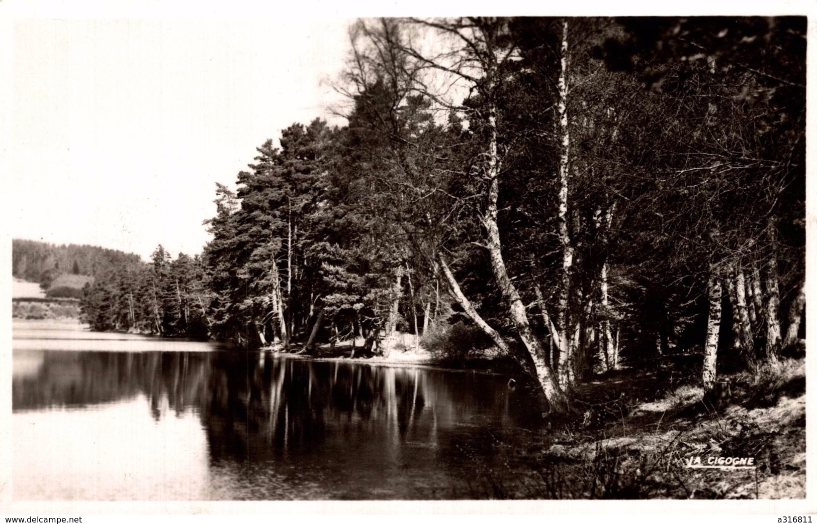 LES BORDS DU LAC DE MALAGUET - La Chaise Dieu