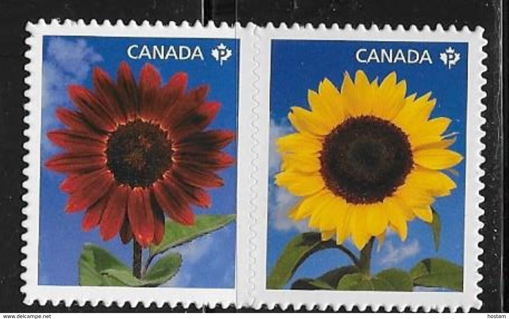 CANADA, 2011,  MNH, # 2444i,    SUNFLOWERS    DIE CUT From Quartely Pack - Single Stamps