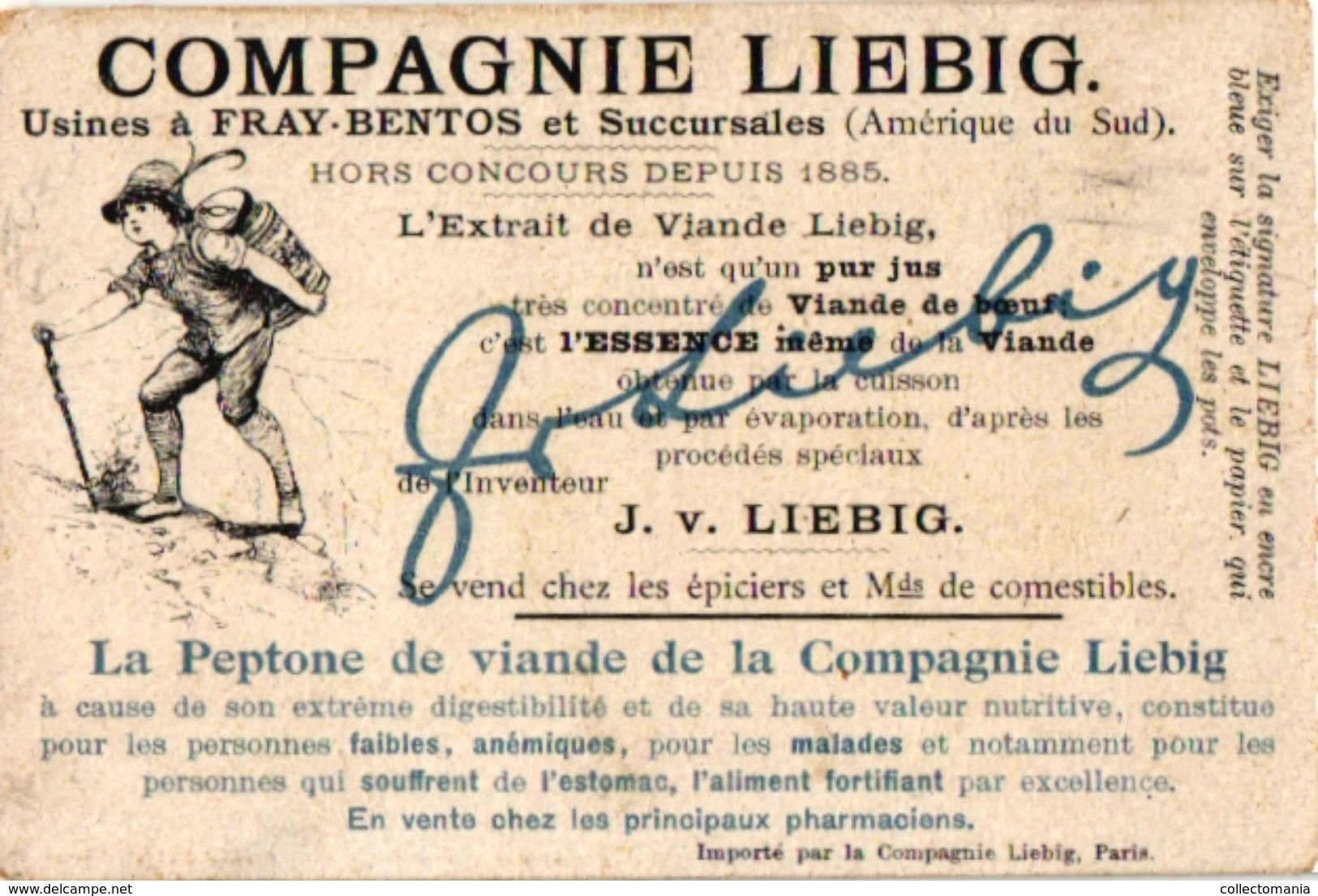 8 Trade Cards  Chromo Music  pre 1900  Biniou Bagpipe Dudelsack  Doedelzak