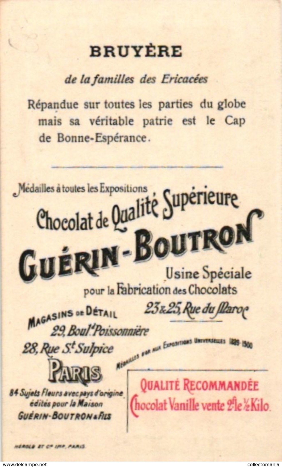 6 Trade Cards  Chromo Music  pre 1900  Biniou Cornemuse  Bagpipe Dudelsack  Doedelzak Pub. Choc.Union Guérin Boutron