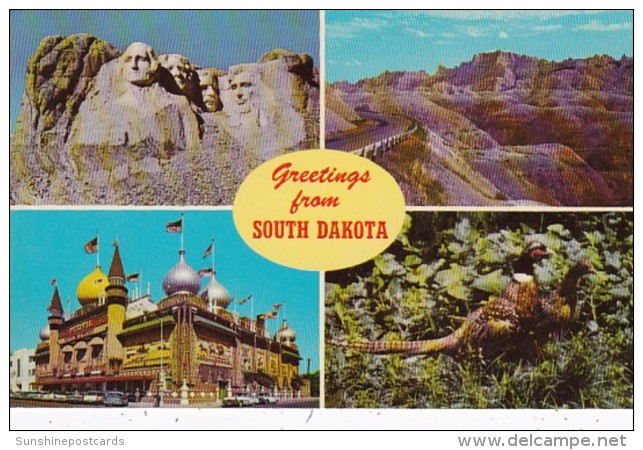 Greetings From South Dakota Corn Palace Mount Rushmore Bad Lands &amp; Pheasant The State Bird - Health