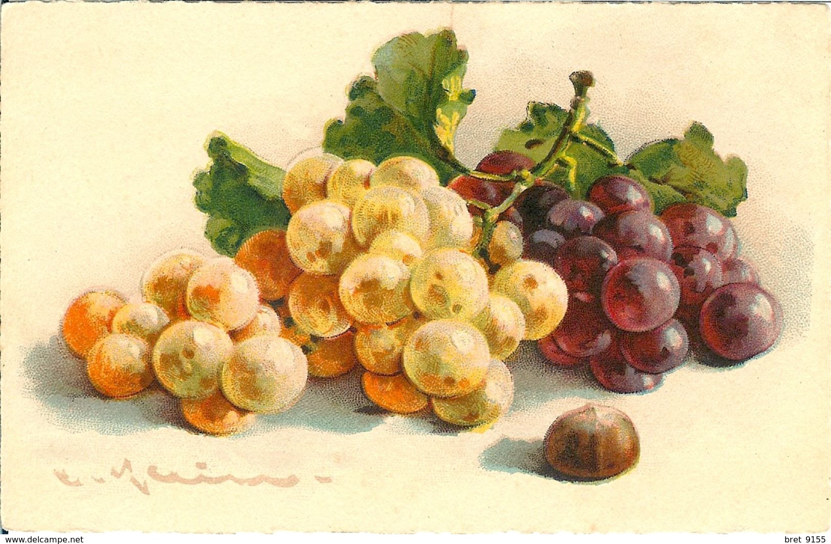 ILLUSTRATEUR CATHARINA KLEIN LE RAISIN LA GRAPPE N° 235 - Klein, Catharina