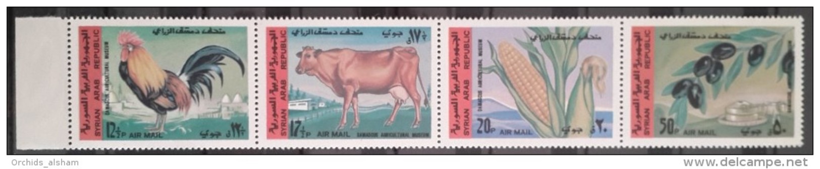 Syria 1969 Mi 1087-1090 MNH Complete Issue - One Pane Of 4v. - Agriculture Museum In Damascus - Syria