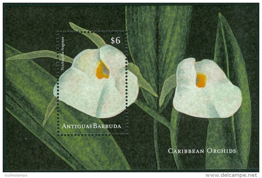 ANTIGUA 2001 ORCHIDS S/S I** (MNH) - Orchideen