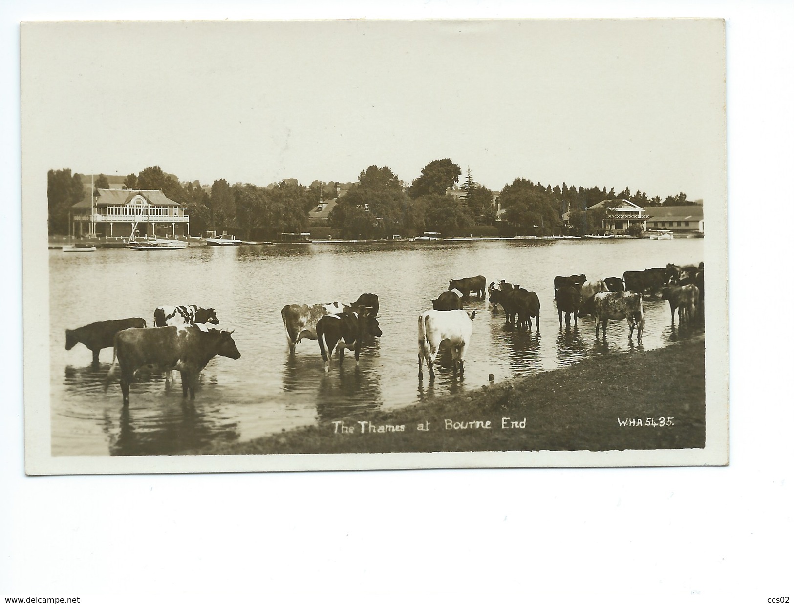 The Thames At Bourne End - Buckinghamshire