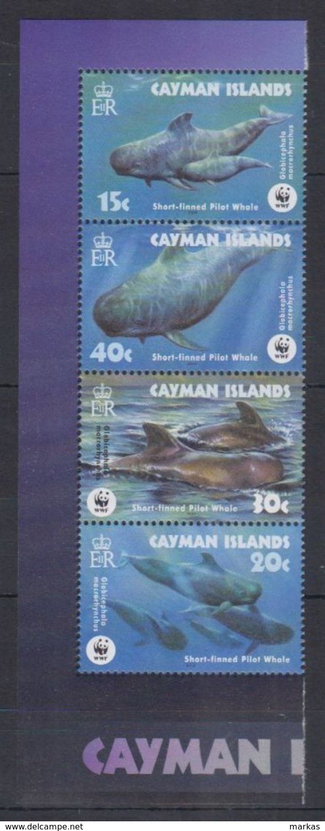 N52. Cayman Islands - MNH - Marine Life - WWF - Meereswelt