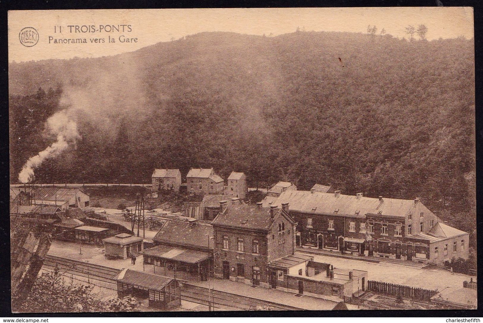 TROIS PONTS - PANORAMA VERS LA GARE - Pas Courant  !!! - Trois-Ponts