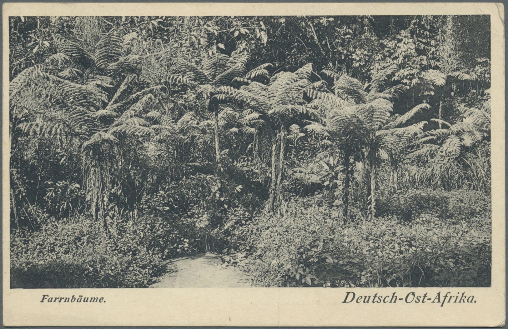 Br Deutsch-Ostafrika - Stempel: "TSCHOLE DEUTSCH-OSTAFRIKA" Ansichtskarte Vom 11.10.1911 Mit Luxusabsch - Duits-Oost-Afrika