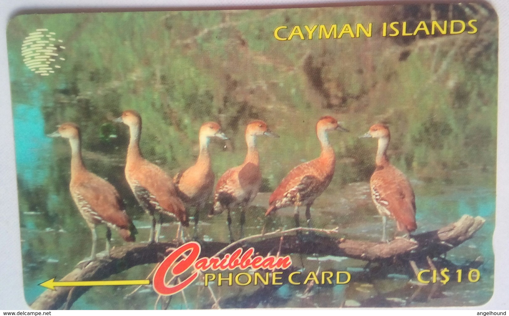 Cayman Islands 13CCIA West Indian Whistling Ducks CI $10 - Kaaimaneilanden