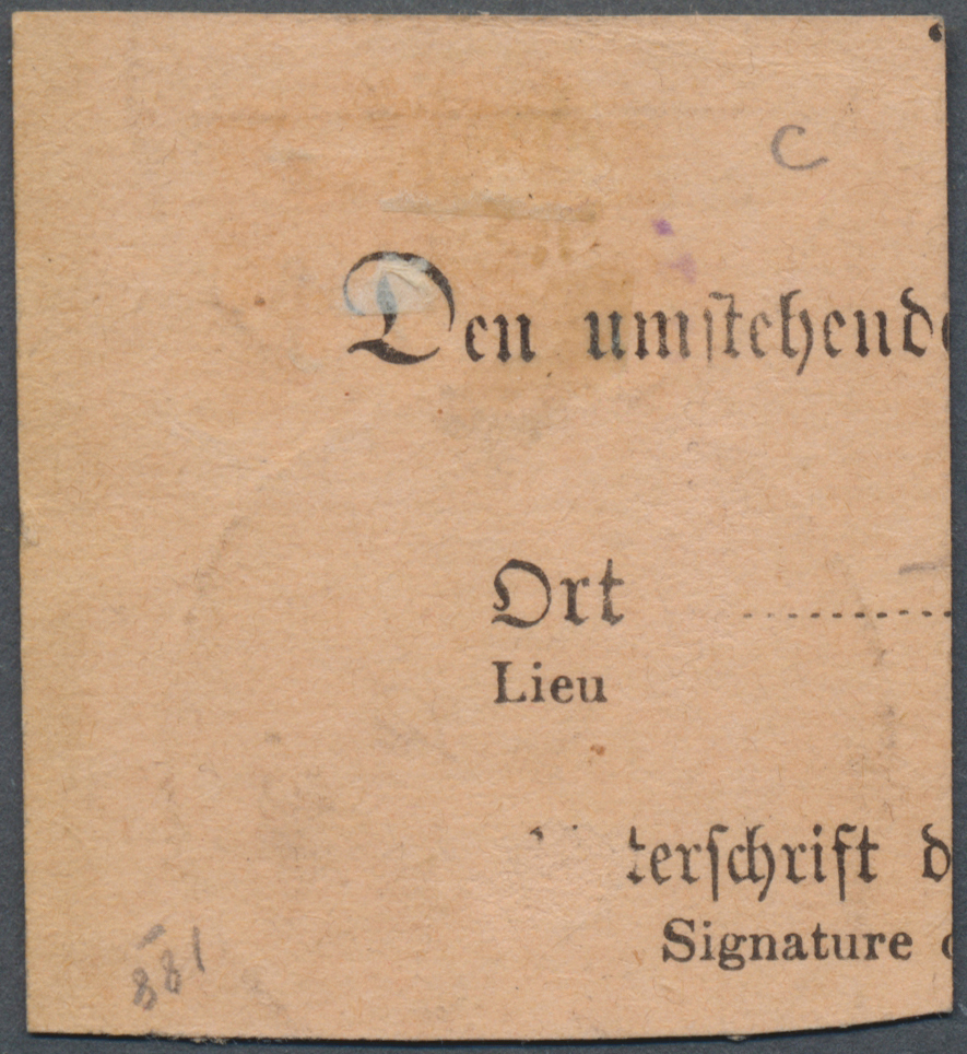 Brfst Deutsche Kolonien - Kamerun-Vorläufer: 1895: 10 Pfg Mittel(karmin)rot Auf Postanweisungsausschnitt M - Kameroen