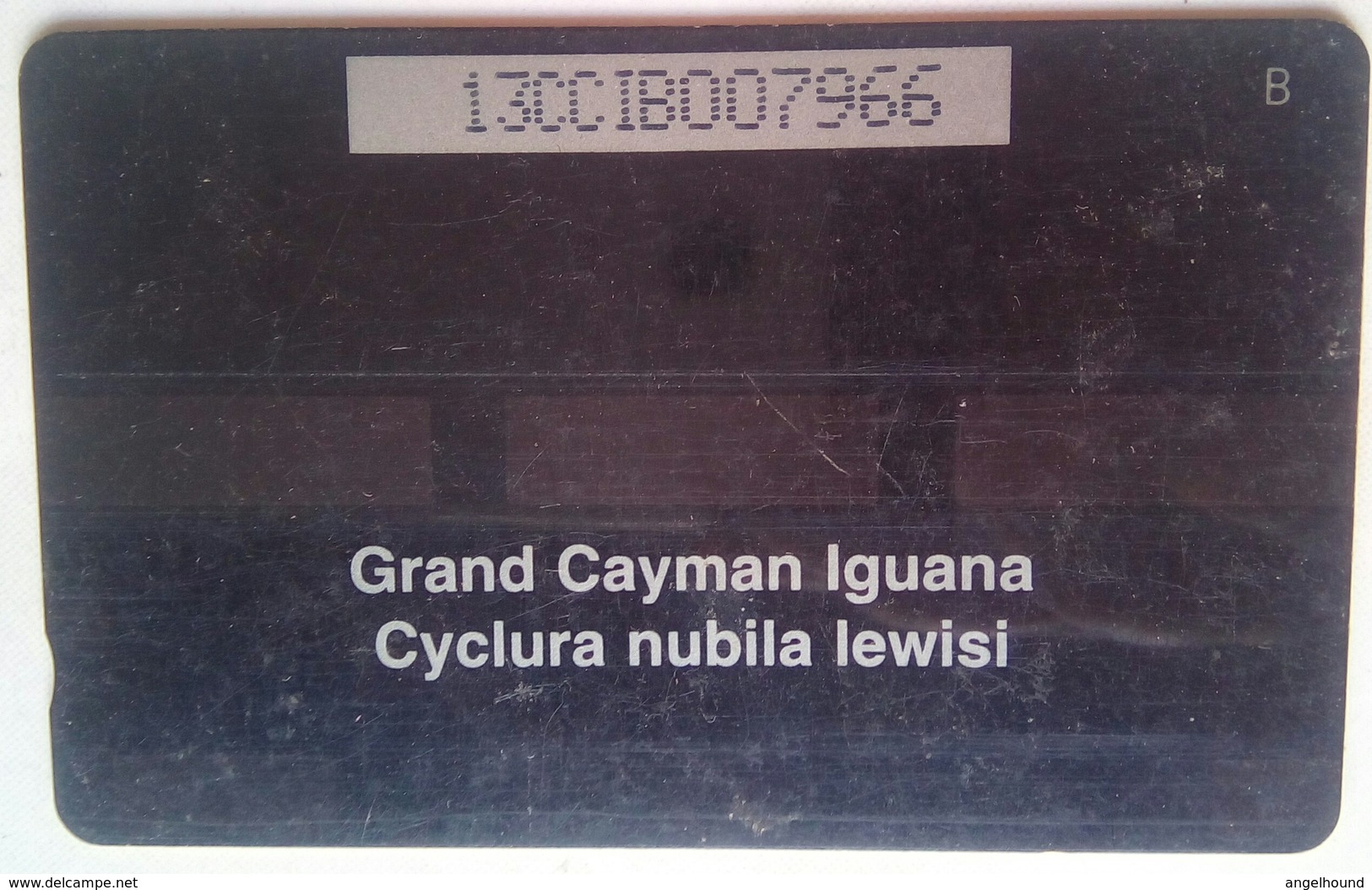 Cayman Islands 13CCIB Iguana CI$10 - Iles Cayman