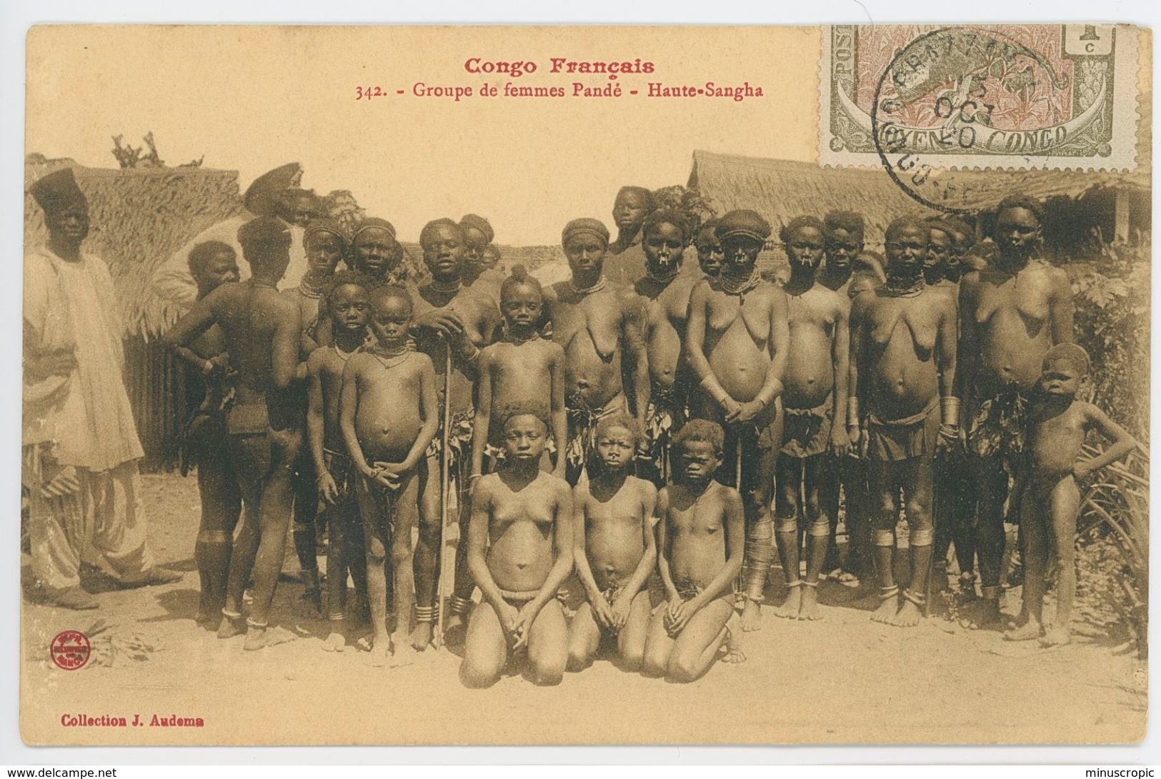 CPA Congo - Français - Groupe De Femmes Pandé - Haute Sangha - Timbre Du Moyen Congo - Other & Unclassified