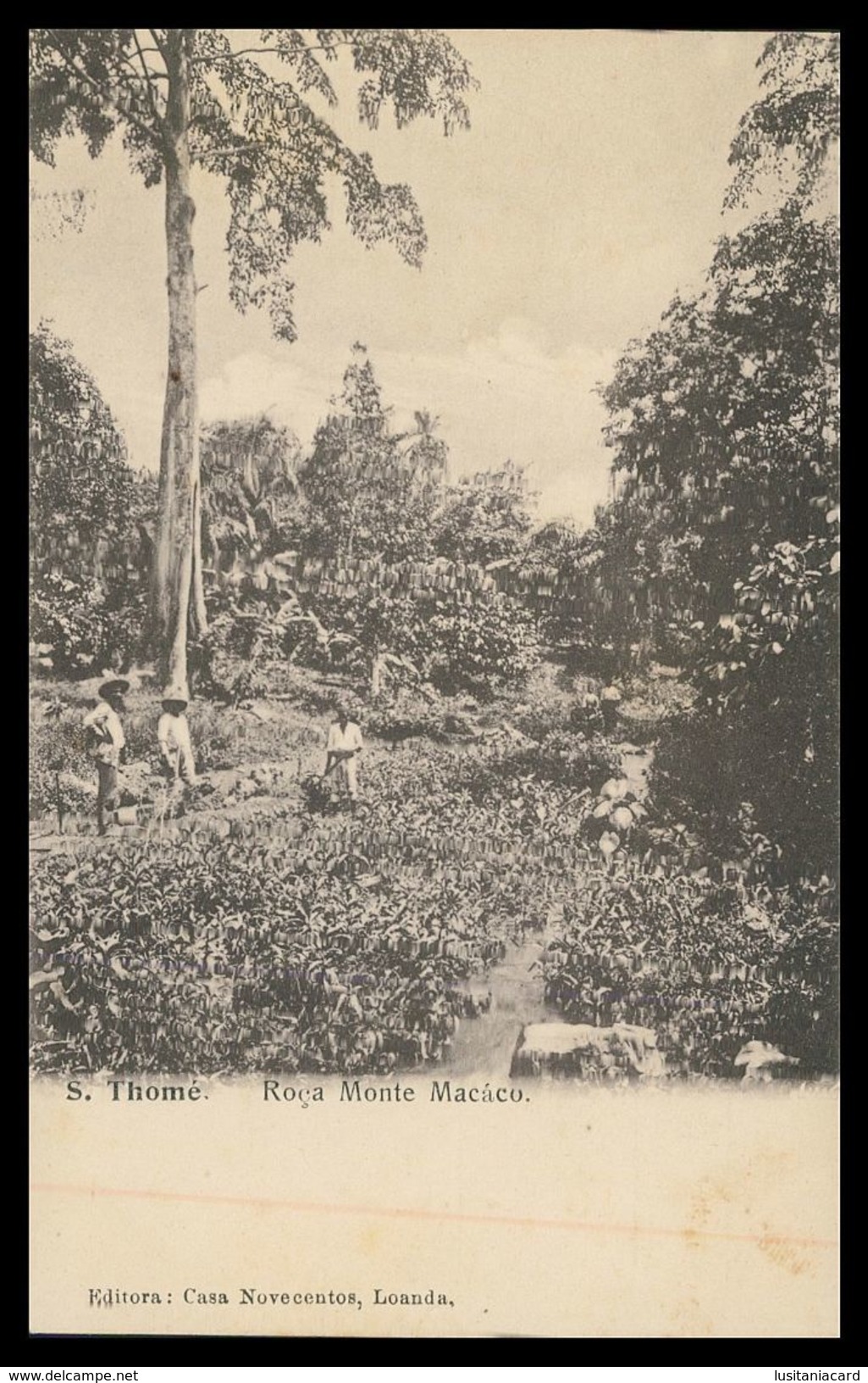 SÃO TOMÉ E PRÍNCIPE - Roça Monte Macaco ( Ed. Casa Novecentos)  Carte Postale - Sao Tome Et Principe