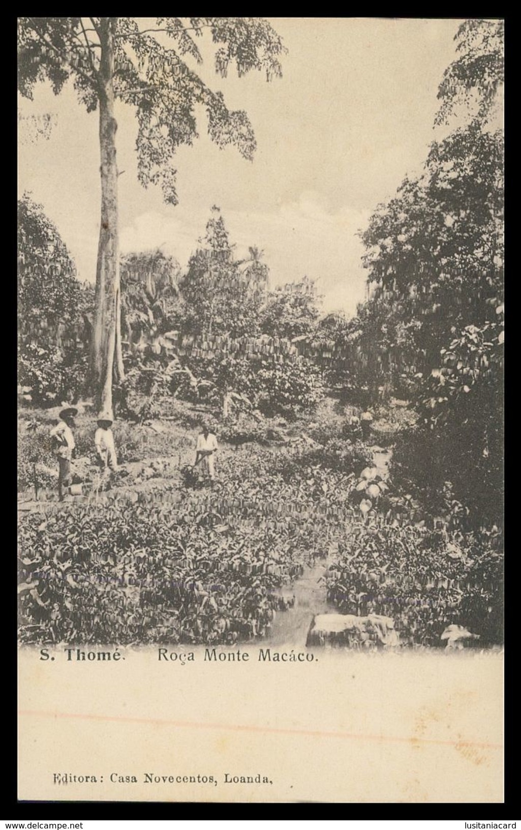 SÃO TOMÉ E PRÍNCIPE - Roça Monte Macaco ( Ed. Casa Novecentos)  Carte Postale - Sao Tome And Principe