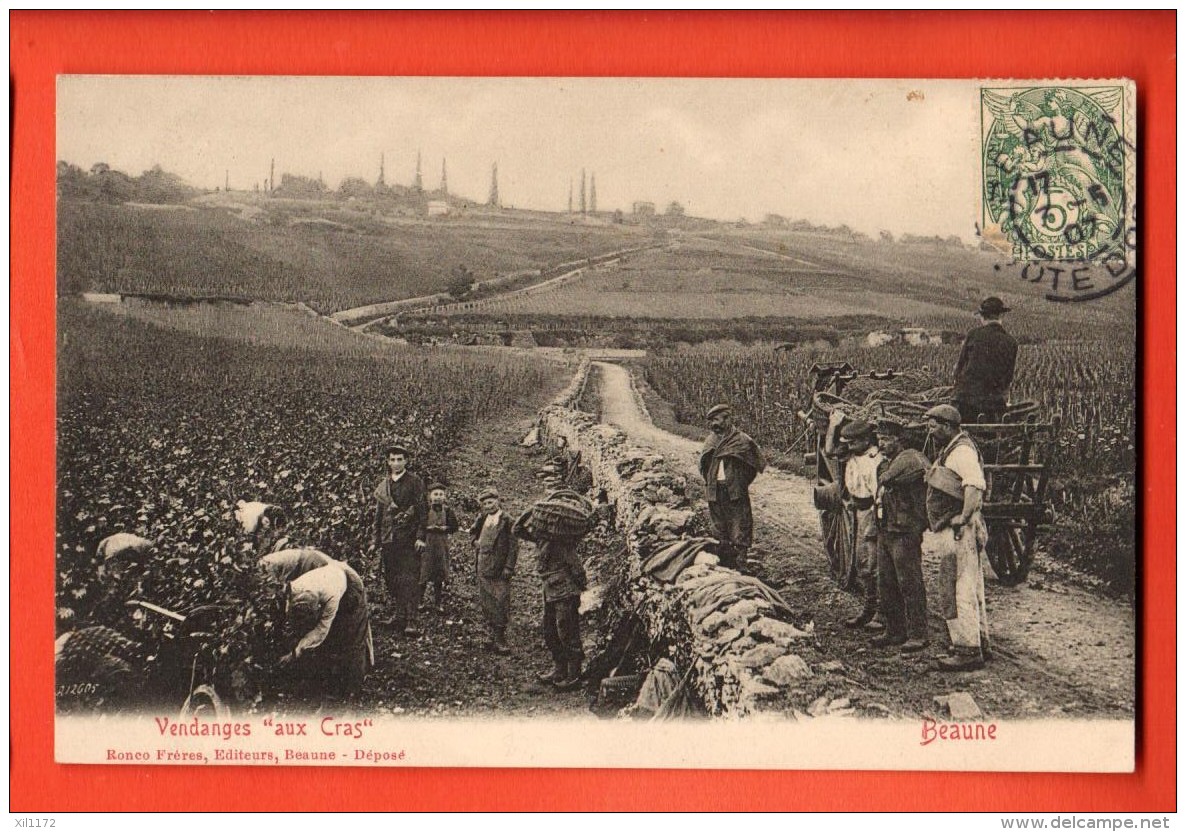 EVA-04 Beaune Les Vendanges Aux CRAS, Act. Maison Louis Latour. Vendangeuses Attelage, ANIME. Cachet Frontal 1907 - Beaune