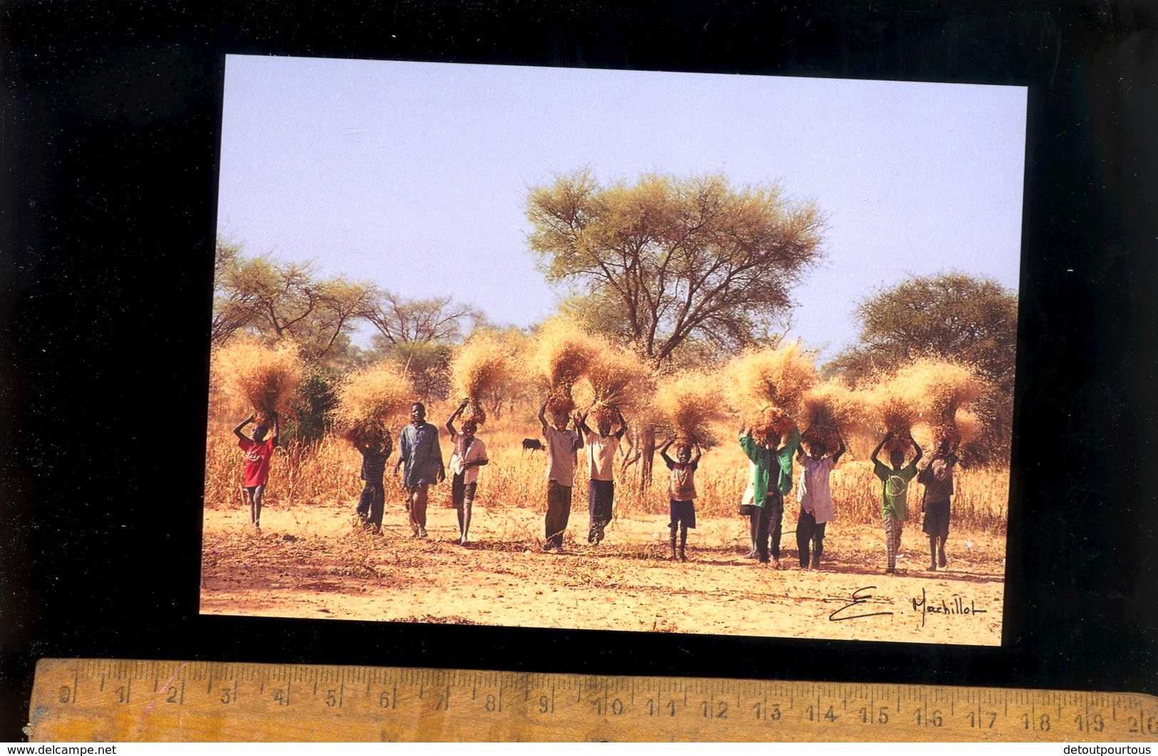 KIECHE NIGER  Enfants à La Récolte Children - Niger