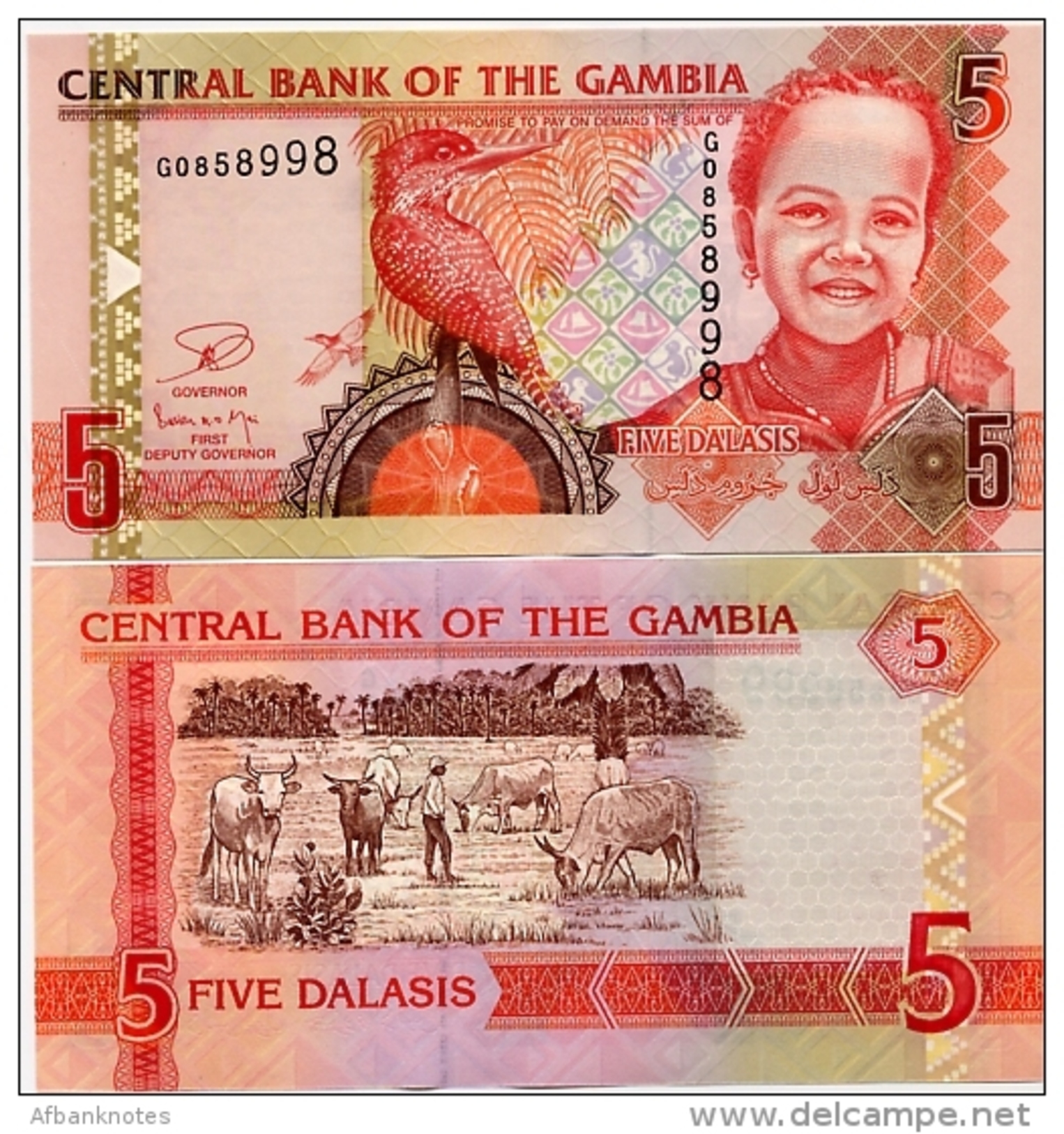 GAMBIA       5 Dalasis       P-25c       ND (2013)       UNC  (sign. Colley-Njai) - Gambia