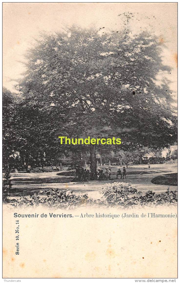 CPA  VERVIERS SOUVENIR DE ARBRE HISTORIQUE JARDIN DE L'HARMONIE - Verviers