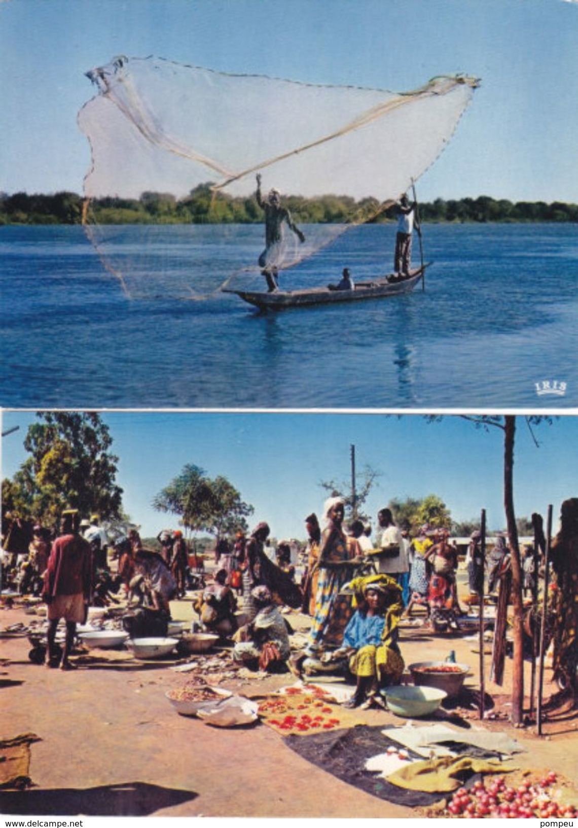 Lot (LX2) - 10 AK - AFRICA  IN  PICTURES - 5 - 99 Cartoline