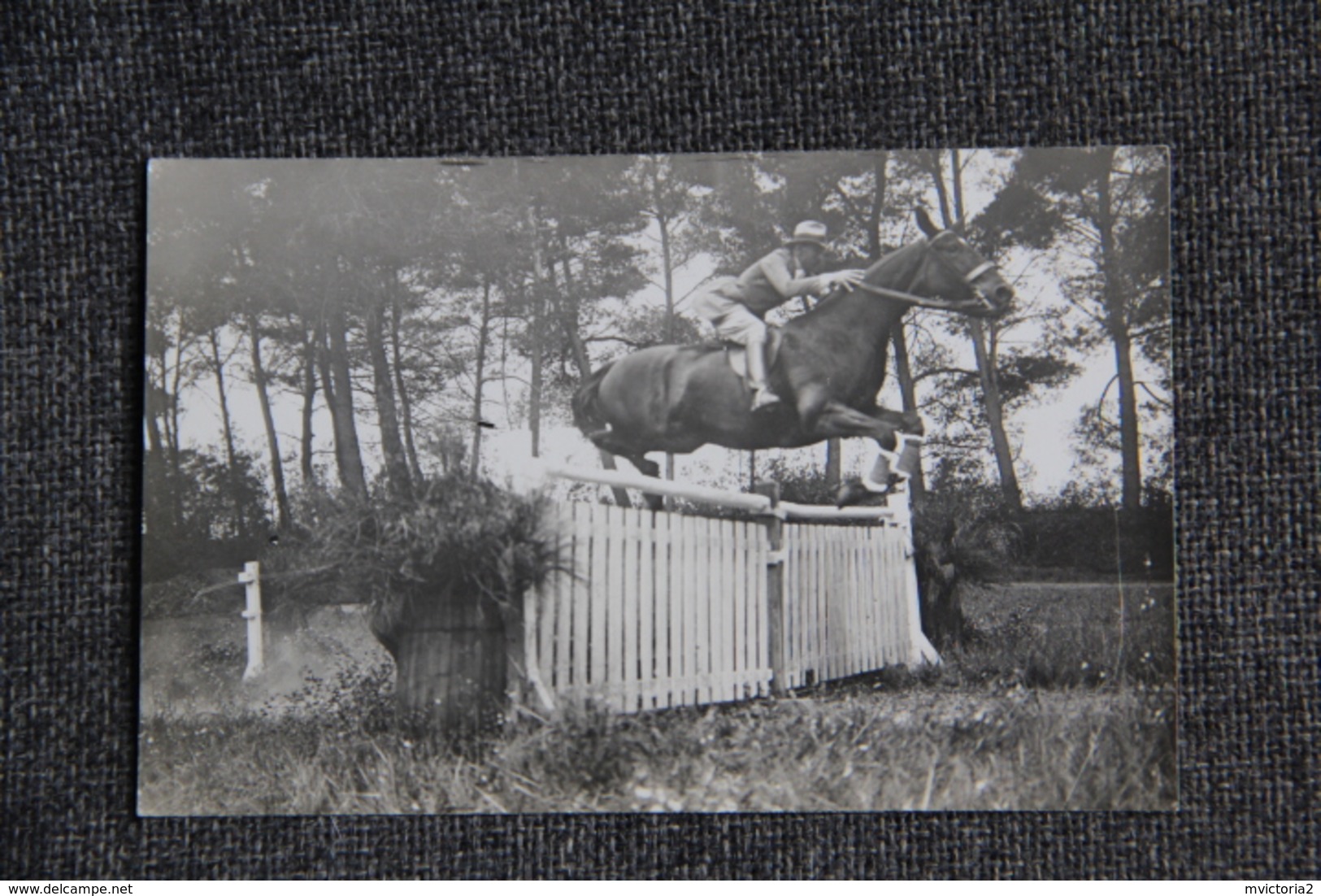 EQUITATION - HIPPISME, Cavalier Au Saut D'Obstacle - Autres & Non Classés