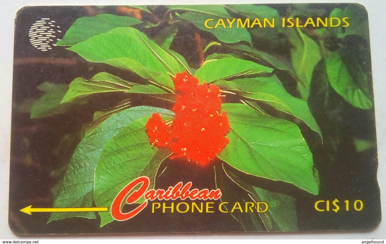 Cayman Islands 94CCIB Broadleaf Flower CI$10 - Cayman Islands