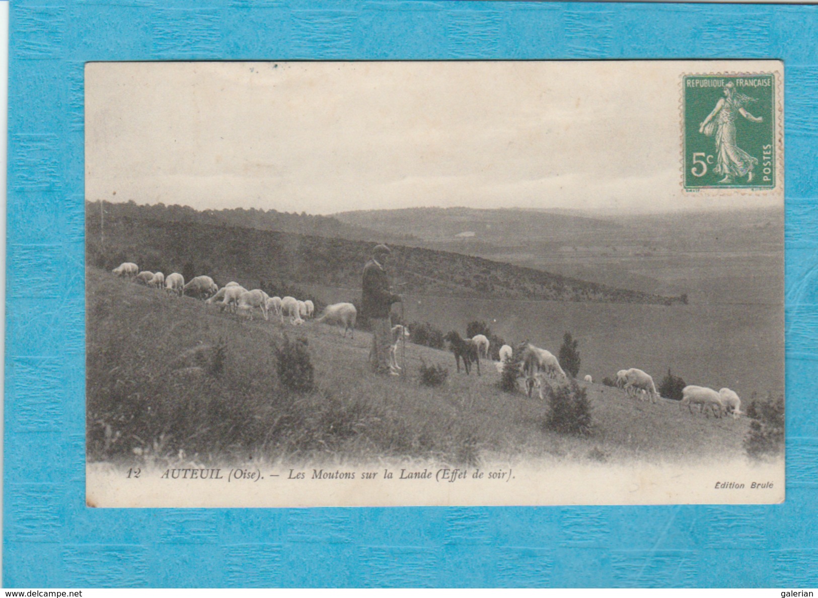 Auteuil. - Les Moutons Sur La Lande ( Effet De Soir ). - Altri & Non Classificati