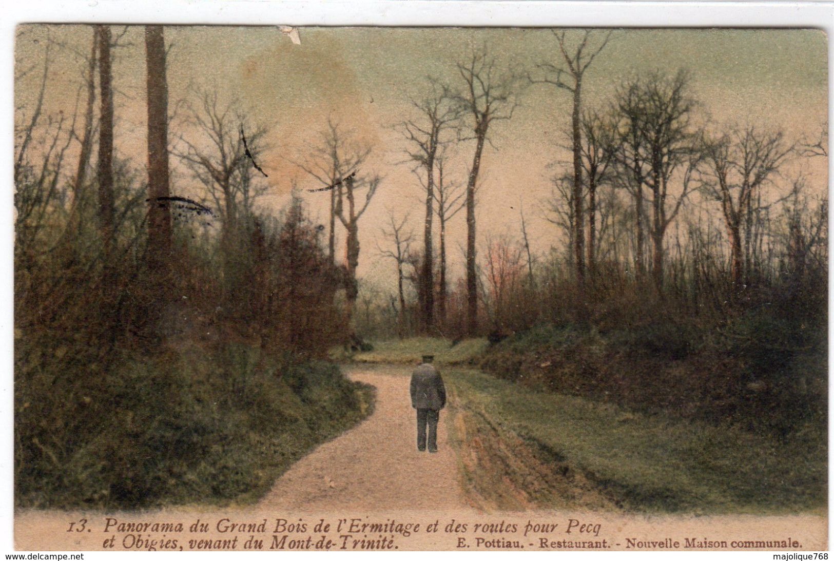 Cpa Du Panorama Du Gramd Bois De L'ermitage Et Des Routes Pour Pecq - Pecq