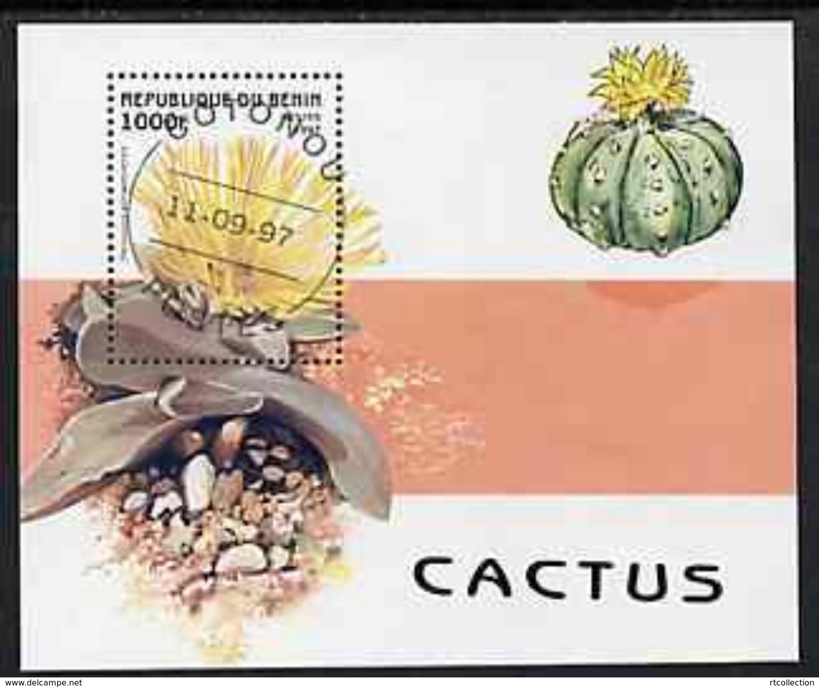 Benin 1997 Flora Flowers Plants Cactusses Cactus Cacti Nature Flower Plant S/S Stamp CTO SG MS 1665 Mi BL32 Sc 1007 - Benin - Dahomey (1960-...)