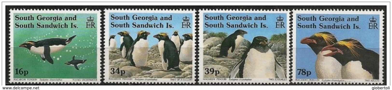 Georgia Del Sud/South Georgia/Géorgie Du Sud: Pinguino Ciuffo Dorato, Penguin, Manchot - Pinguine